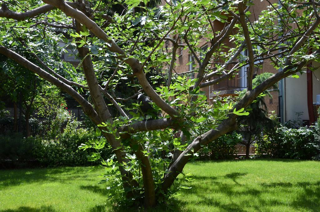 Fig Tree House Budapest Luaran gambar
