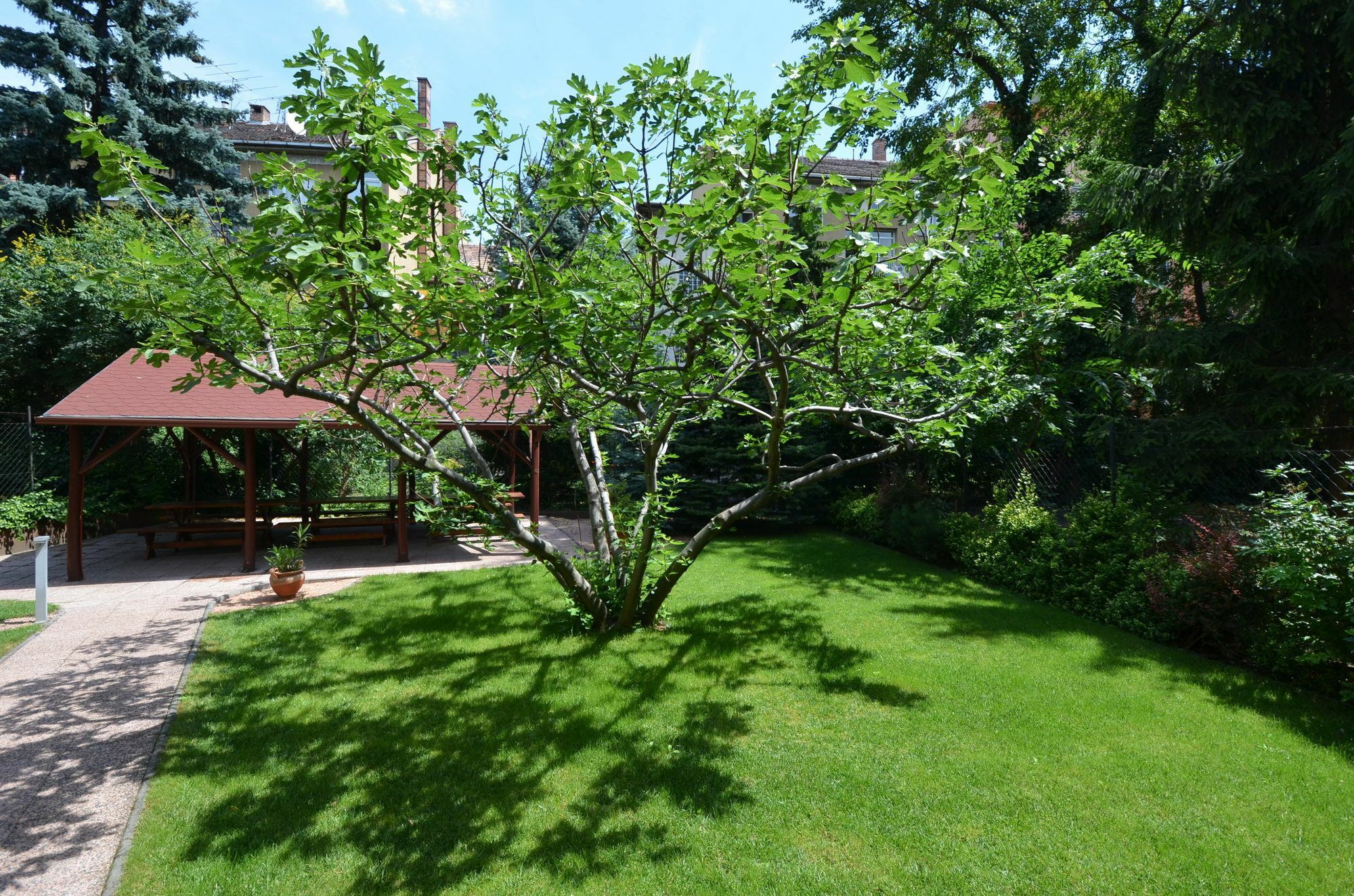 Fig Tree House Budapest Luaran gambar